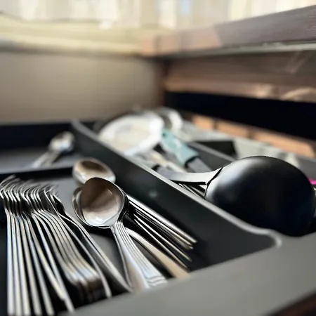 公寓 Golden Dublex 地拉那